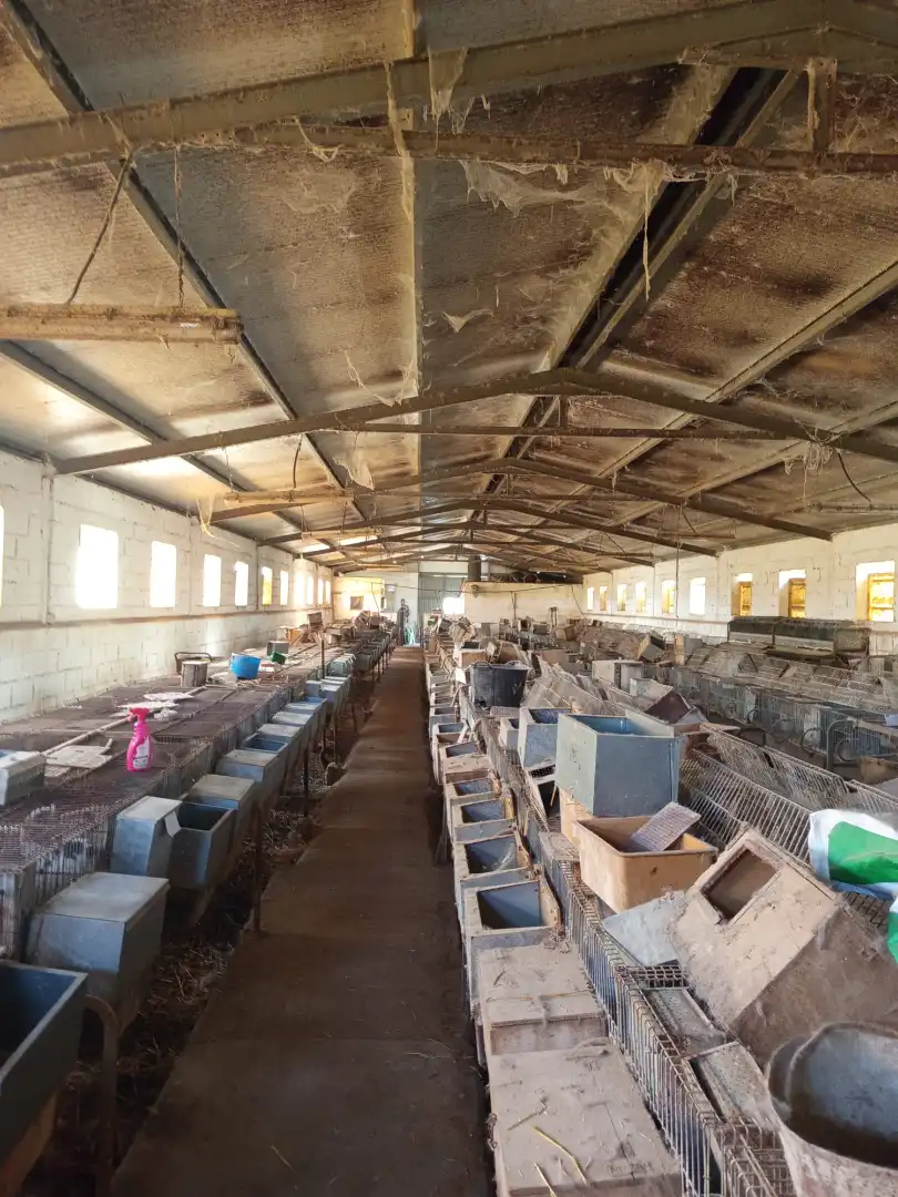 Nave industrial en venta en Fuente Álamo de Murcia