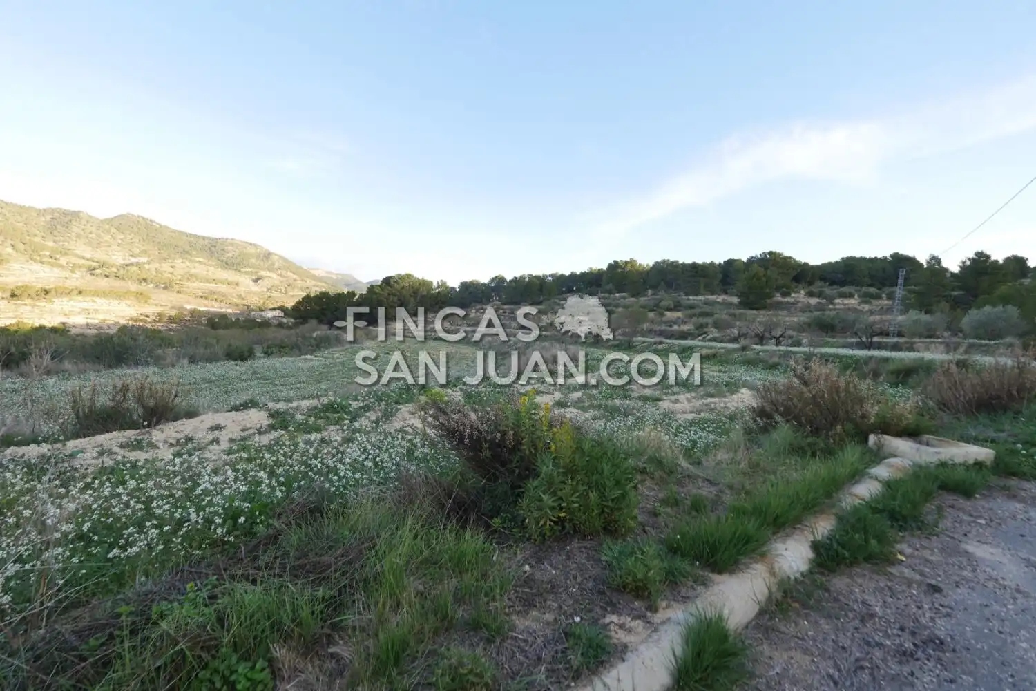 Terreny residencial en venda a Torremanzanas / La Torre de les Maçanes, imagen 4