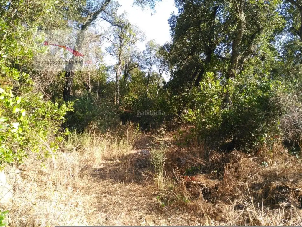 Terreny residencial en venda a Carrer la Serra Longa 59, imagen 5