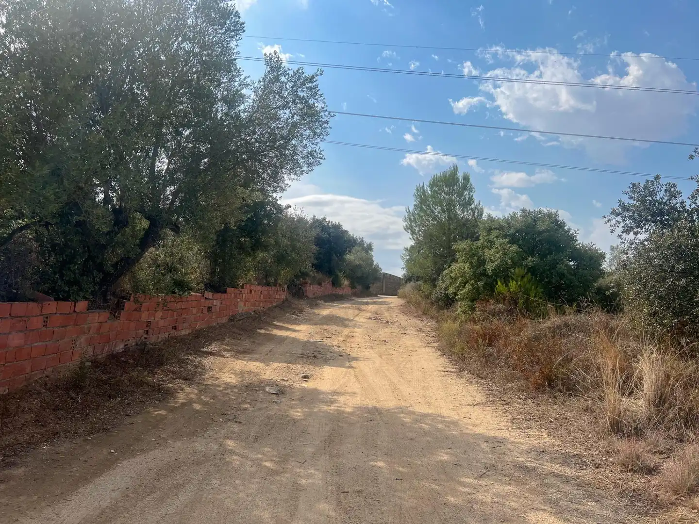 Finca rústica en venda en Les Borges del Camp amb Jardí privat, Traster i Piscina