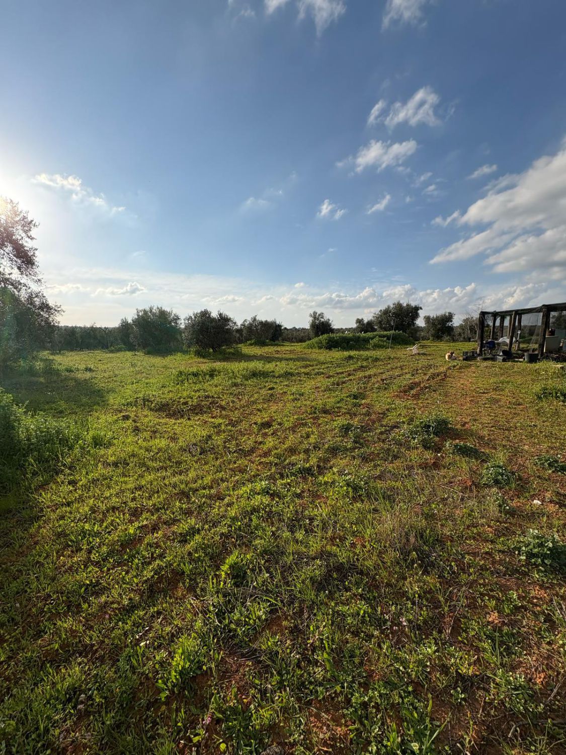 Finca rústica en venta en Pilas