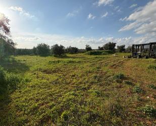 Finca rústica en venda en Pilas