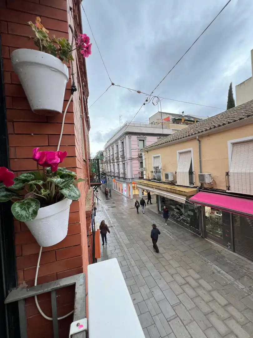 Business premises to rent in Calle Feria, imagen 16