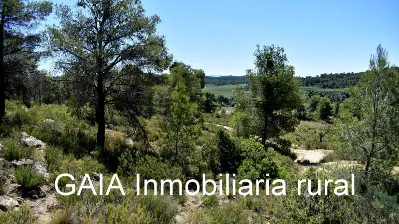 Finca rústica en venda en Batea