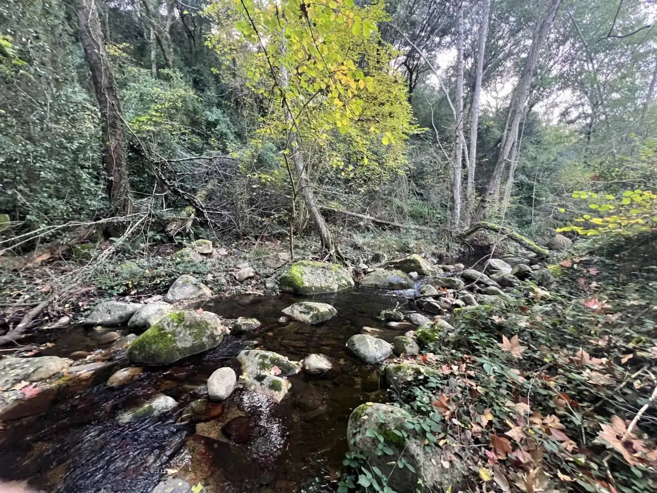 Terreno en venta en Calle GIV-521, 3, Riells i Viabrea