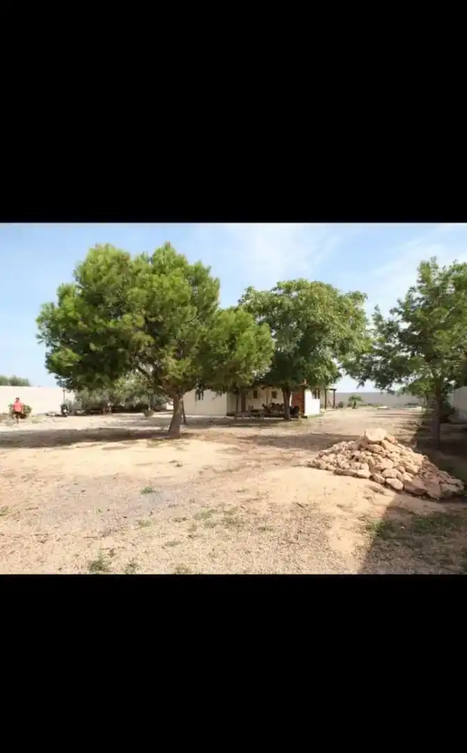 Finca rústica en venda en Rojales amb Piscina