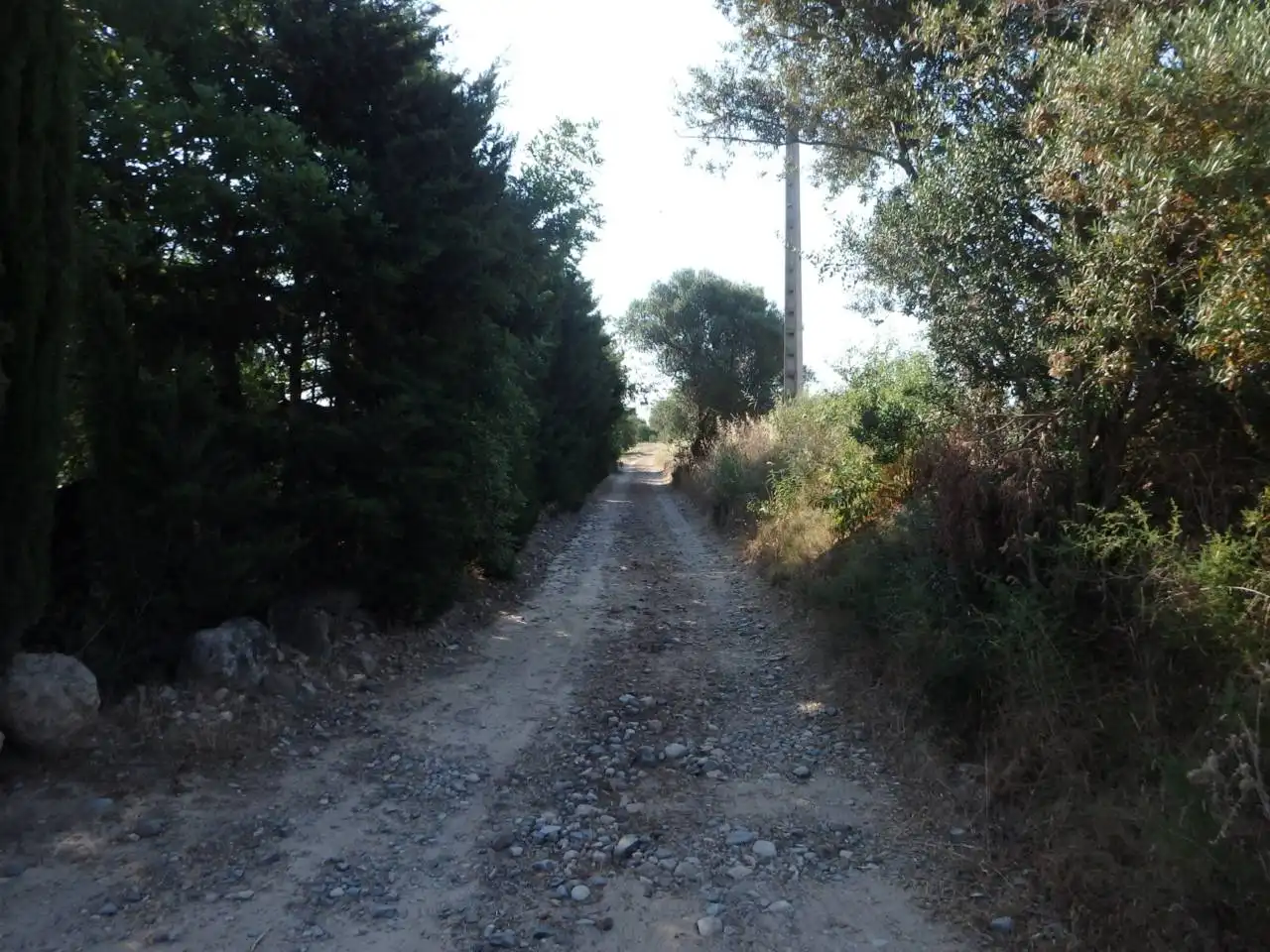 Rural land for sale in Carretera dels emprius, imagen 10