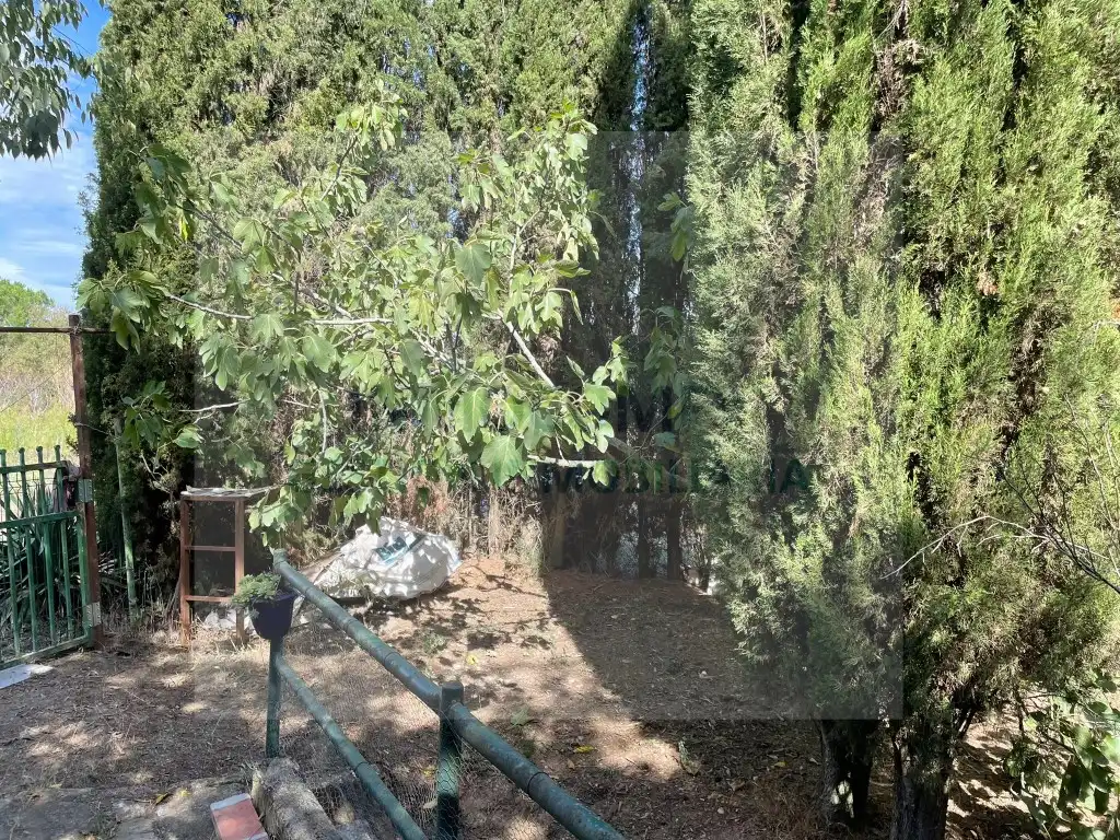 Rural land for sale in Calle Bordeta, imagen 5
