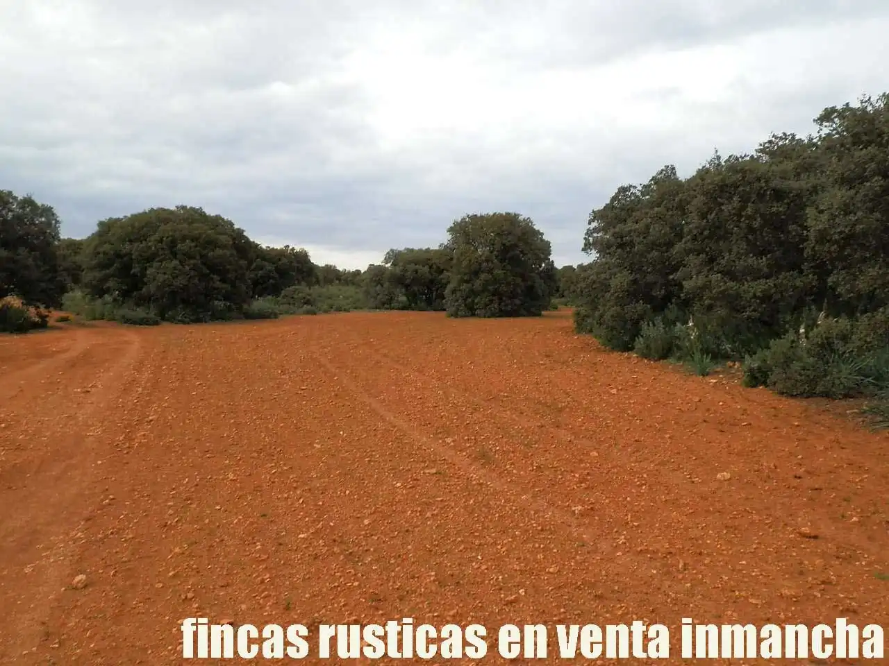 Terreno rustico in vendita a Ruidera, imagen 25