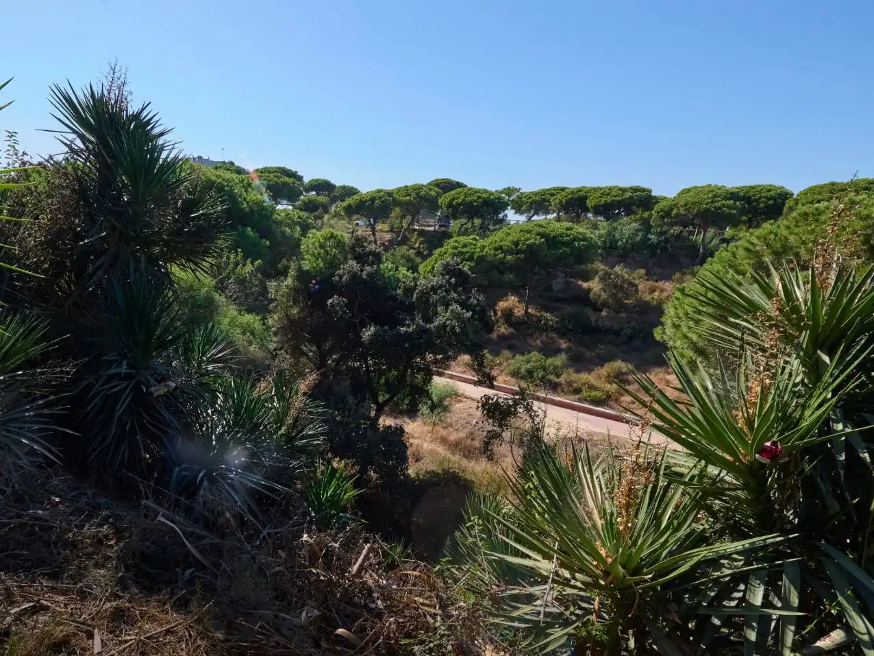 Casa o xalet en venda en Mazagón