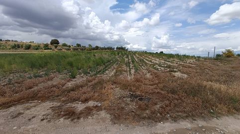 TIERRA DE REGADIO EN MORALEDA DE ZAFAYONA