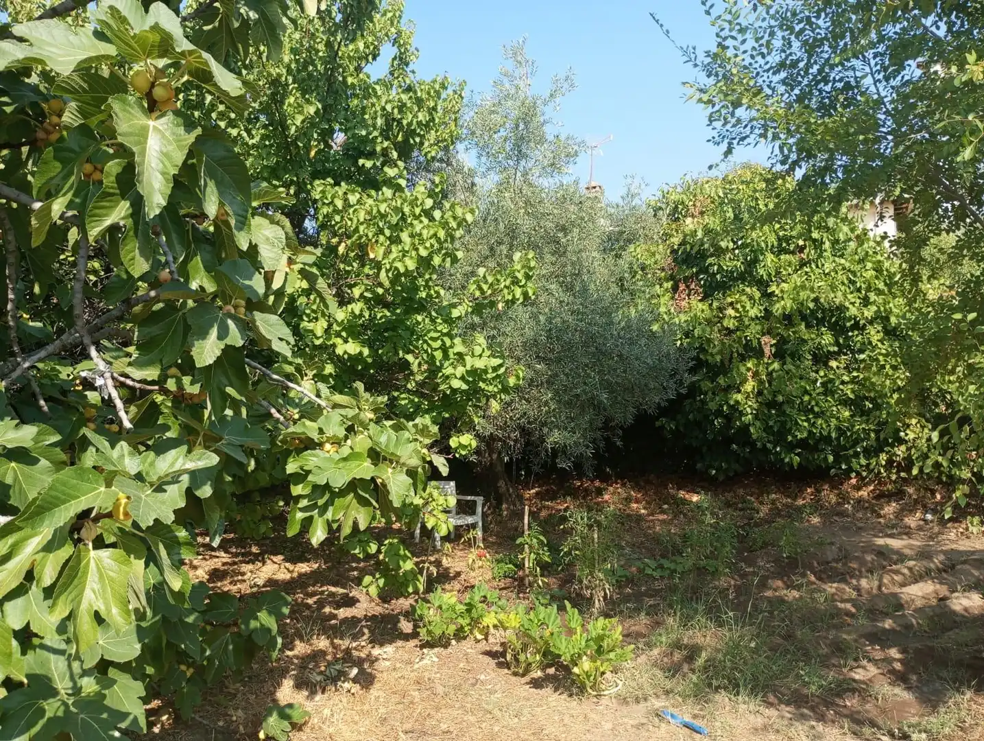 Terreni e lotti in vendita a poligono 3 parcela176, imagen 4
