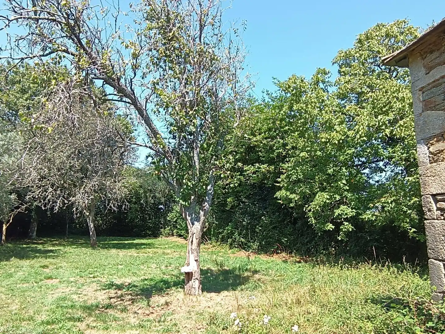 Country homes for sale in Aranga