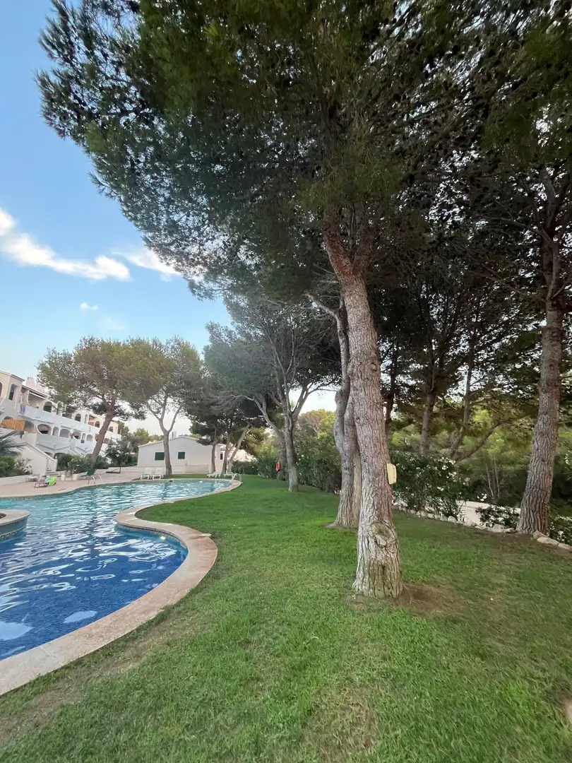 Jardí de Apartament en venda en Es Mercadal amb Aire condicionat, Traster i Piscina comunitària