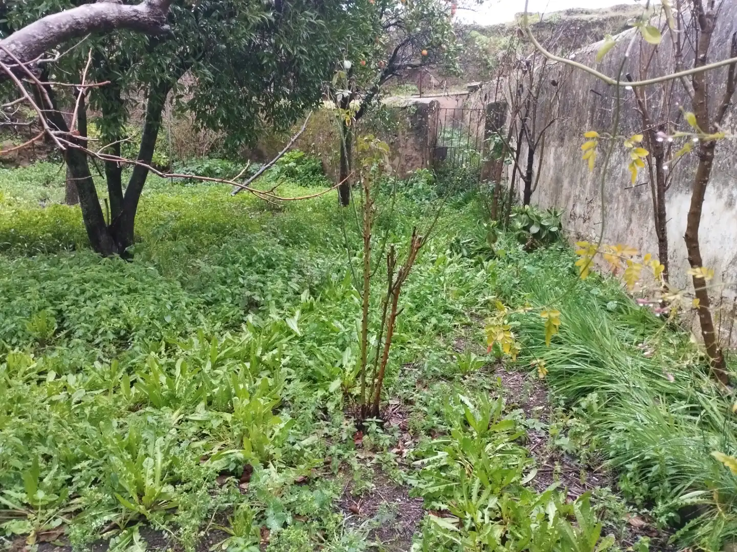Planta baja en venta en Jerez de los Caballeros con Jardín privado y Trastero