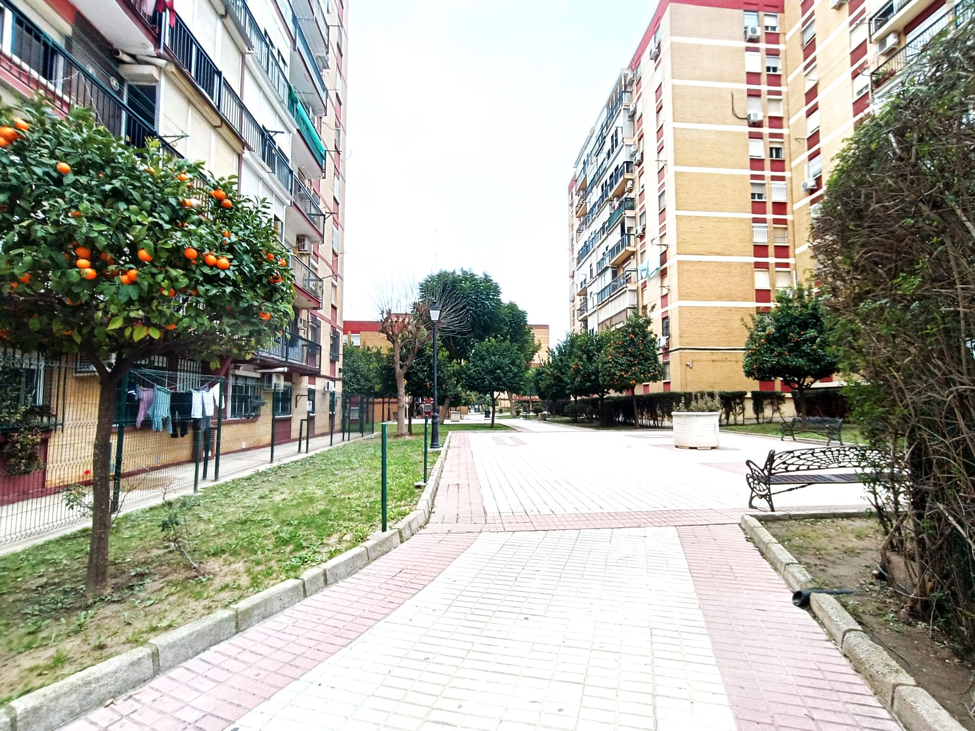 Vista exterior de Pis en venda en Castilleja de la Cuesta amb Aire condicionat, Terrassa i Traster