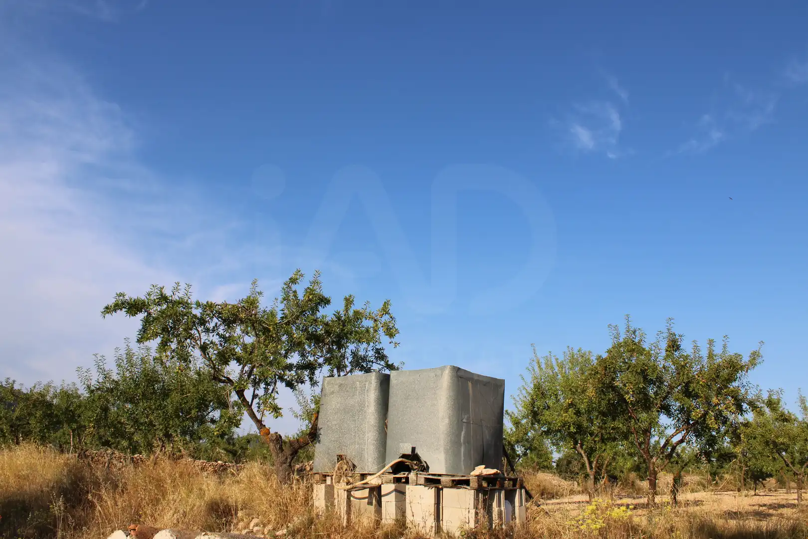 Maison à vendre à Onil, imagen 29