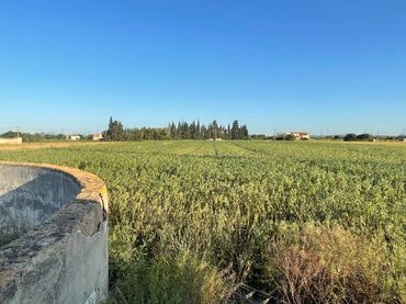 Terreny rústic en venda a Sa Pobla