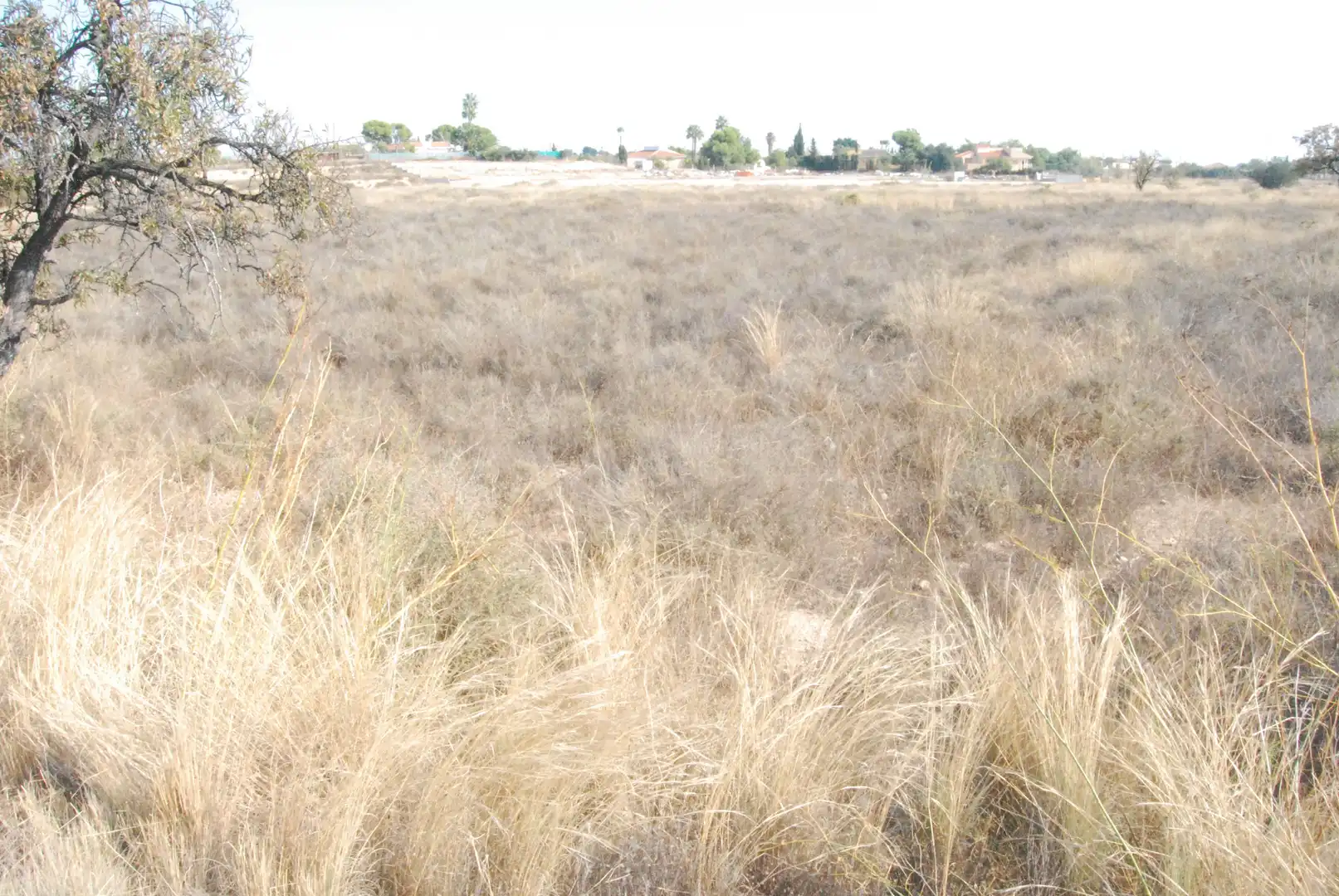 Rural land for sale in Villamontes - Boqueres, imagen 3