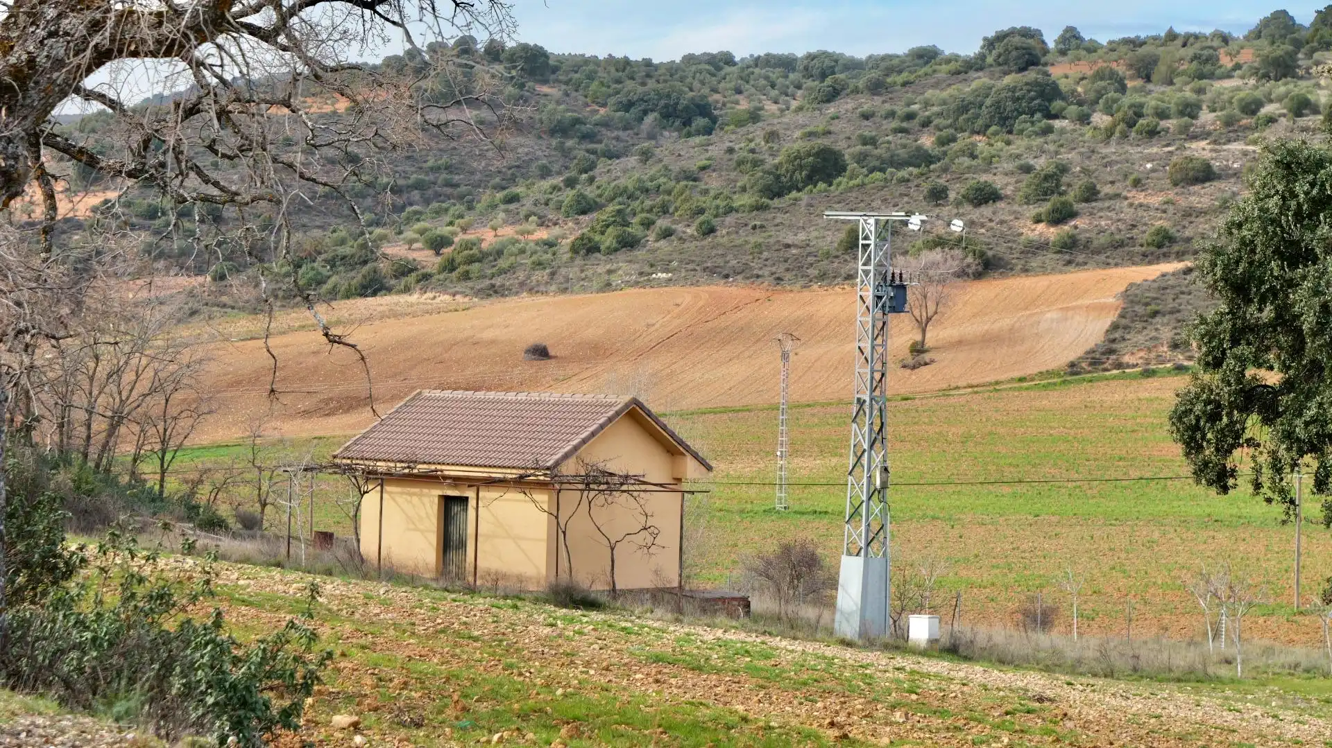 Land for sale in Arbancón