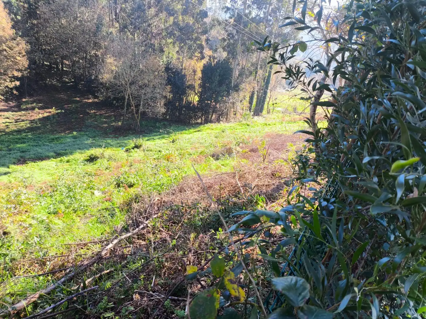 Terreni e lotti in vendita a Lugar Outeiro, imagen 6