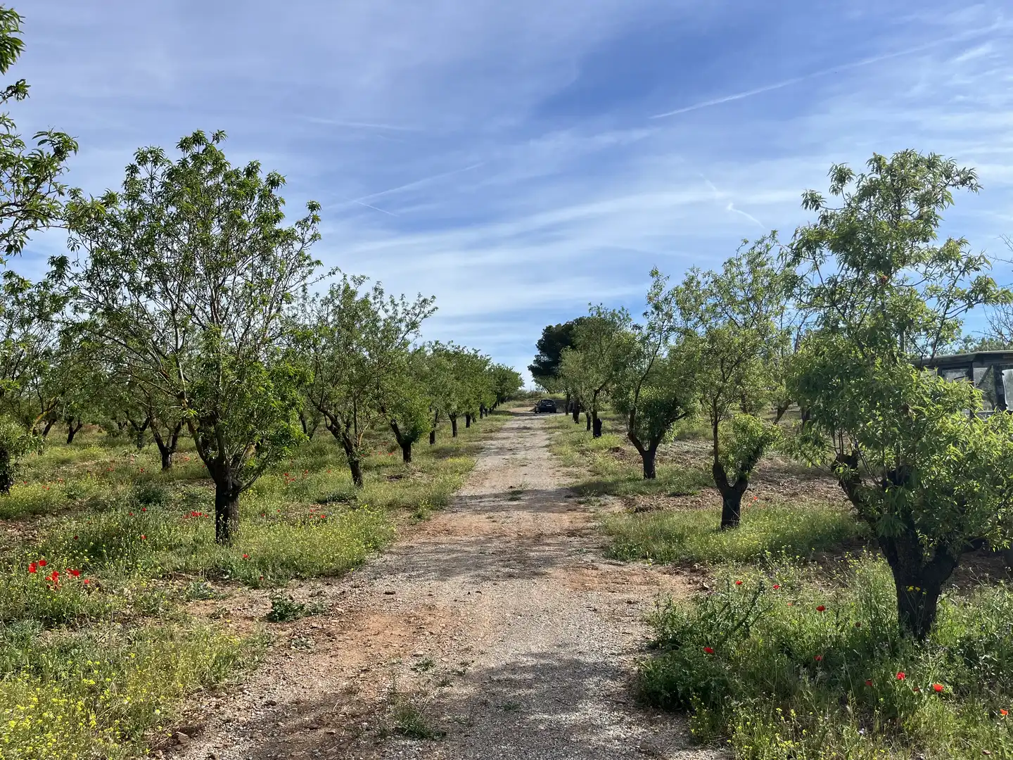 Rustikales Grundstück zum Verkauf in Avenida de Andalucía, imagen 2