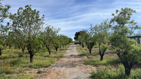 Finca en Padul - carretera de la cabra km 8, immagine 2
