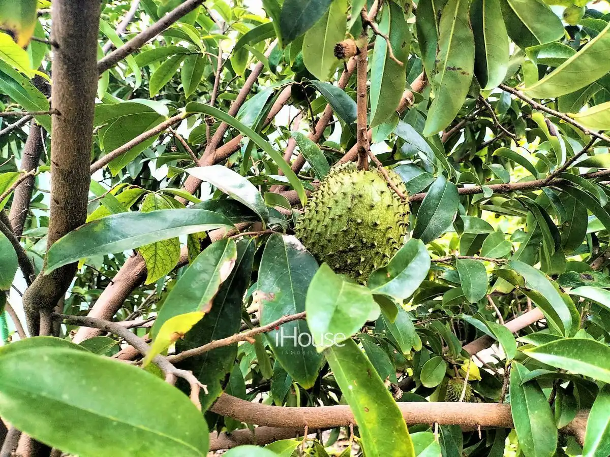 Terreno en venta en PUNTA DE TENO, Buenavista del Norte