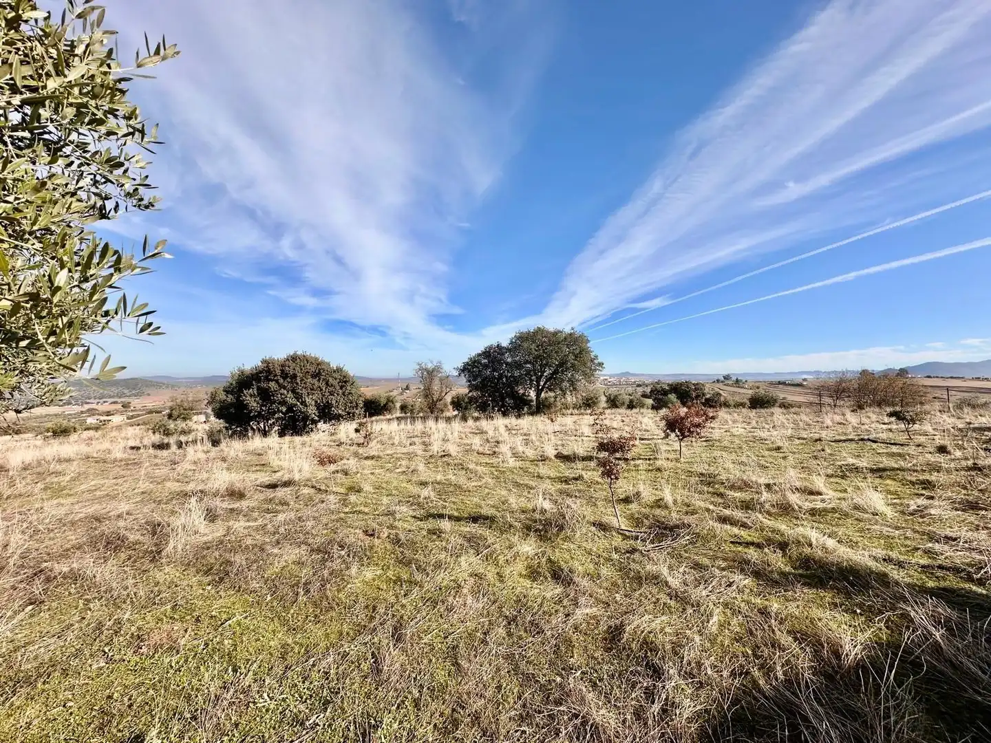 Rural land for sale in Fuente Obejuna, imagen 2