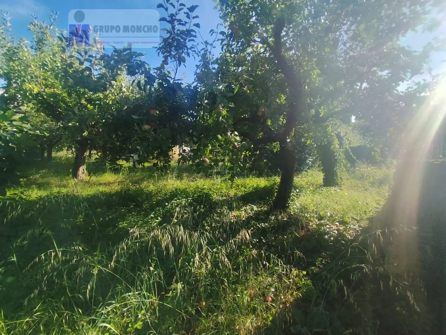 Houses for sale in A Merca    with Private garden