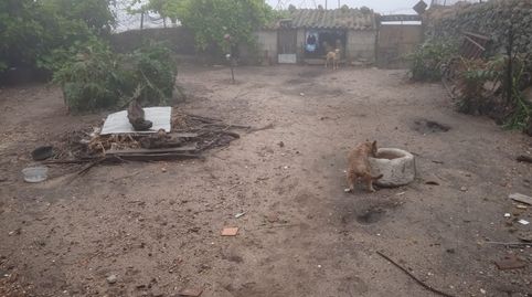 Casa con terreno en Montánchez, imagen 3