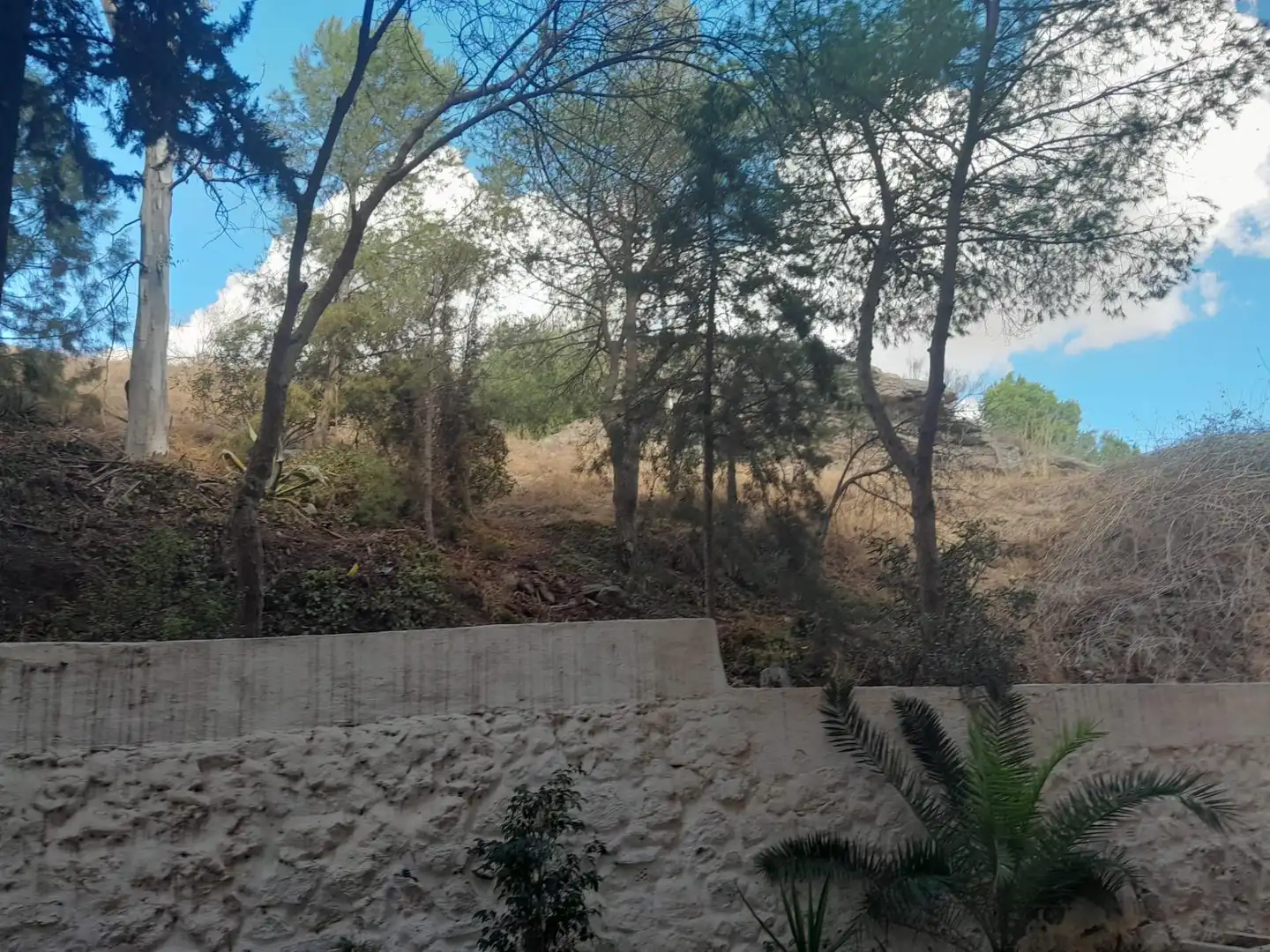Apartament en venda a Calle TEMBLEQUE, 2, El Palo