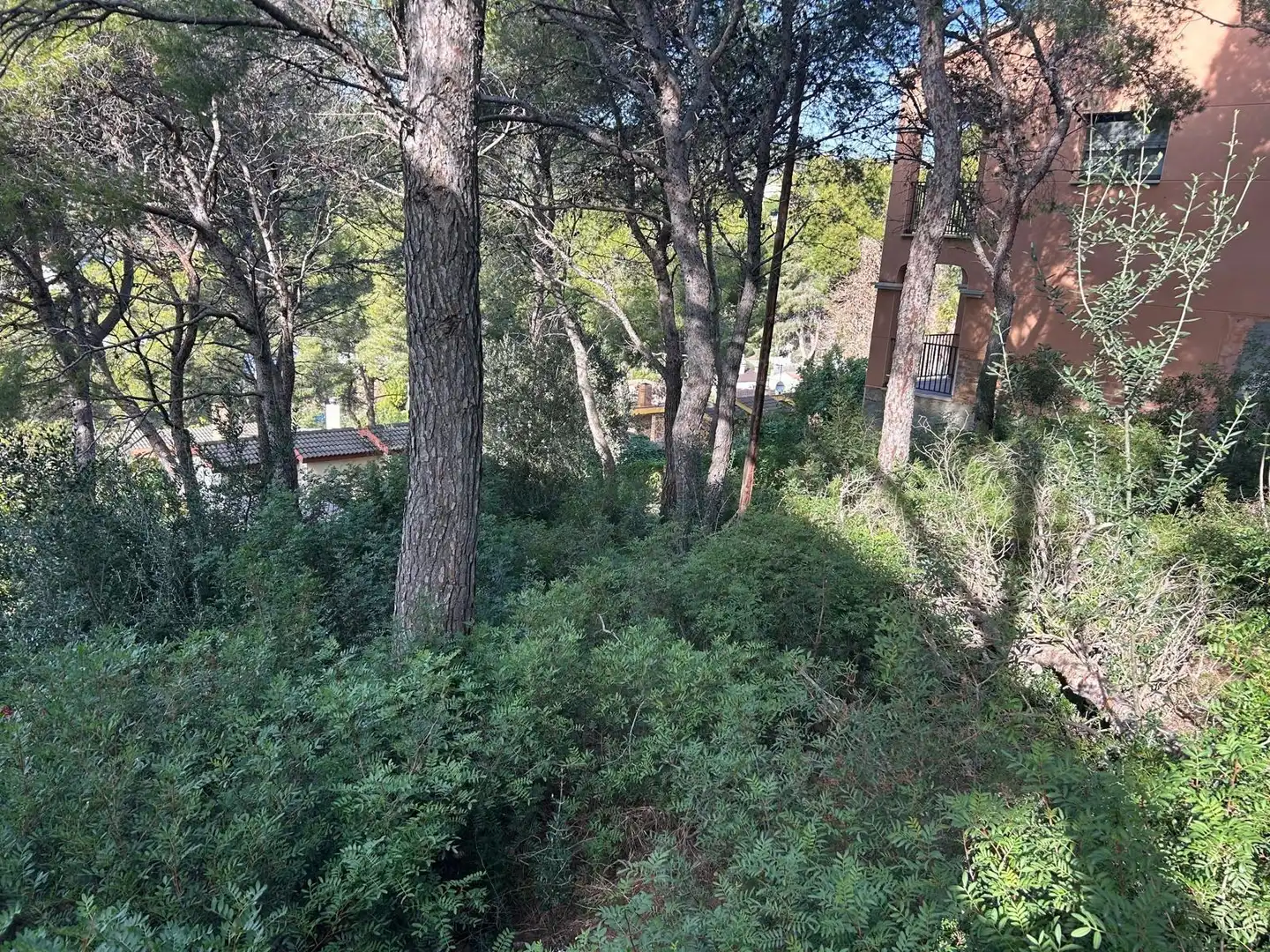 Lands and plots for sale in Segur de Calafell, imagen 4