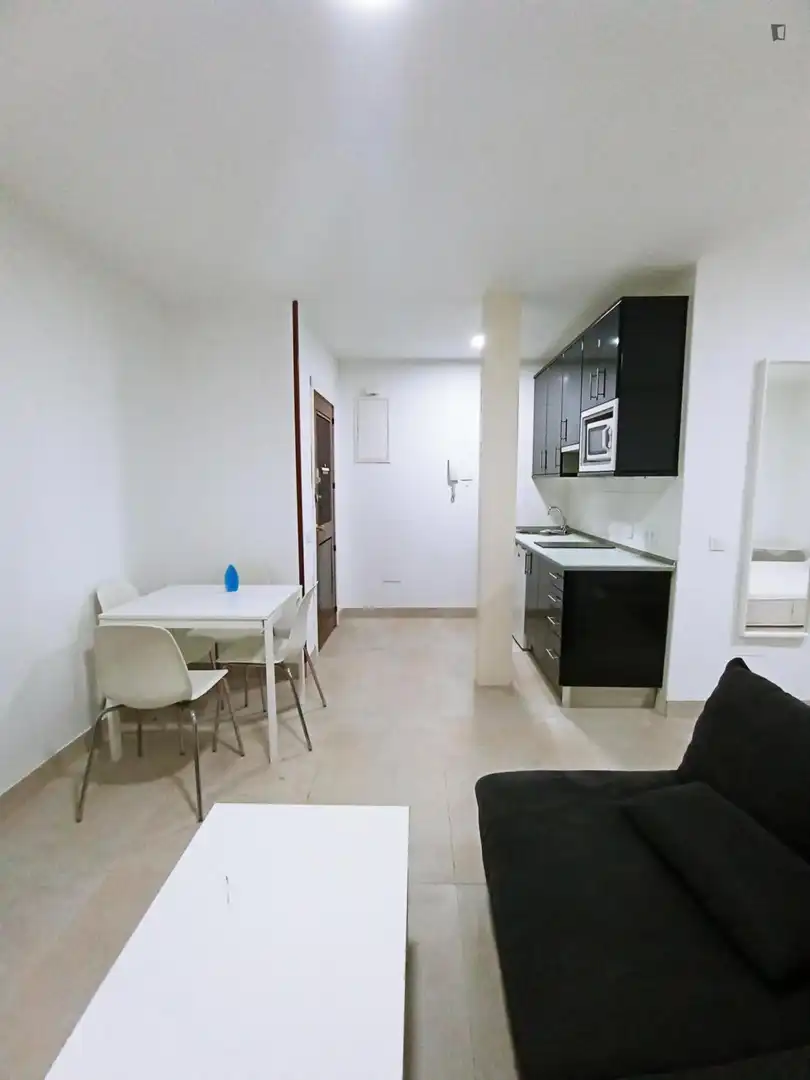Monolocale in affitto a Centro, imagen 9