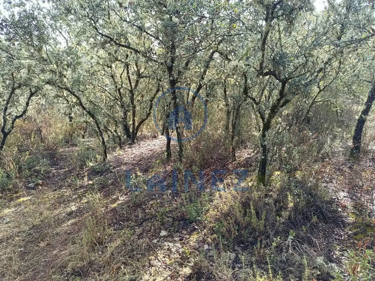 Lands and plots for sale in Espiel, imagen 15