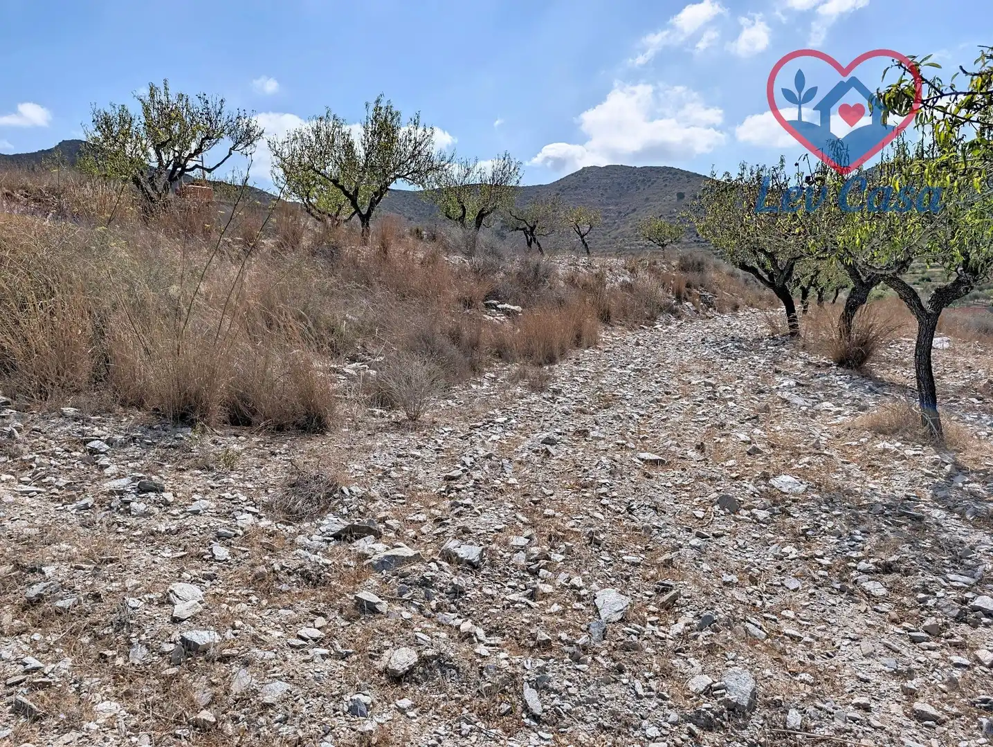 Terreno rustico in vendita a Playa del Galán, imagen 32