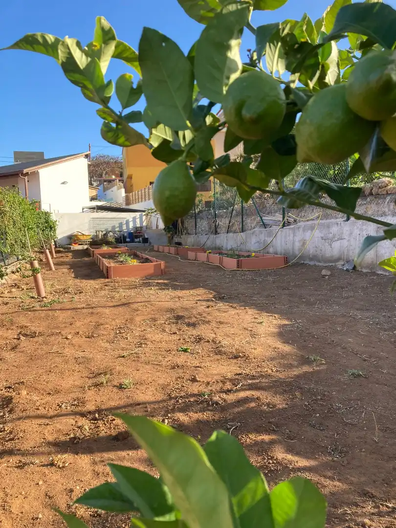 Jardín de Casa o chalet en venta en Candelaria con Aire acondicionado, Jardín privado y Terraza