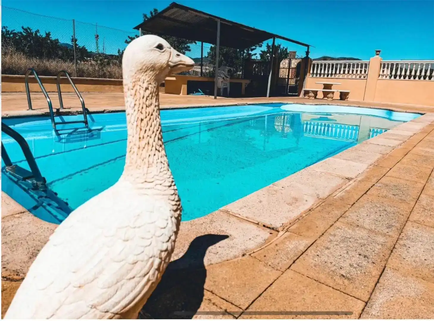 Piscina de Casa o chalet en venta en Baza, Granada