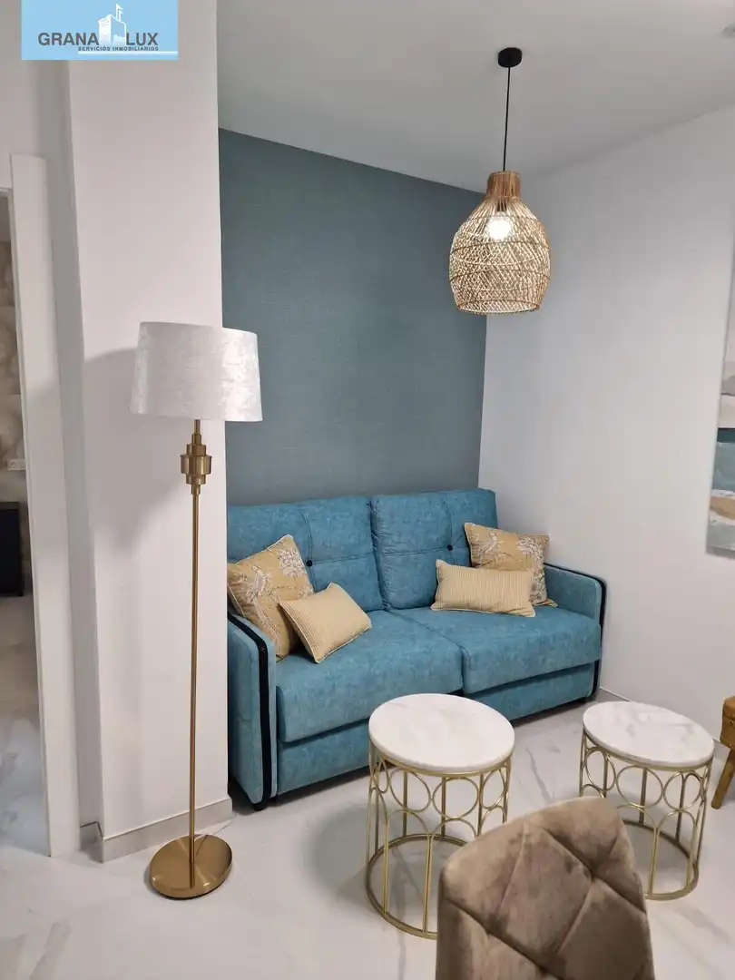 Living room of Apartments for rent in Granada  with Furnished