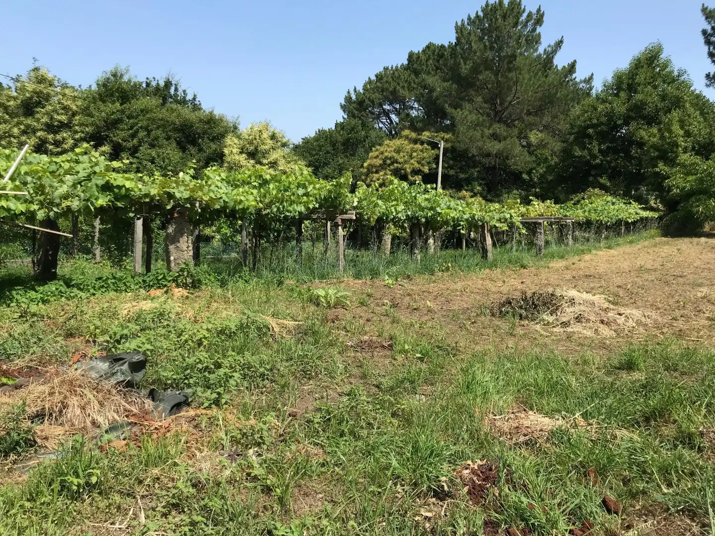 Maison à vendre à Porto do Son, imagen 35