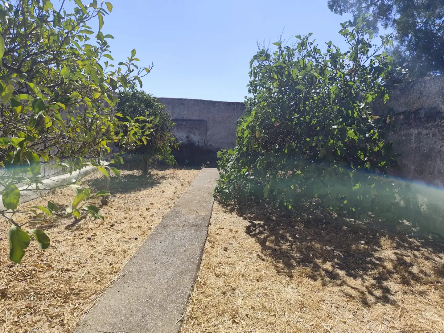 Maison avec jardin à vendre à Calle Toledillo 81, imagen 16