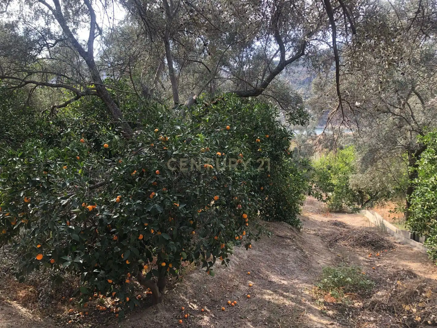 Terreno en venta en Lecrín