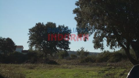 Foto 5 de Finca rústica en venta en Saucedilla, Cáceres