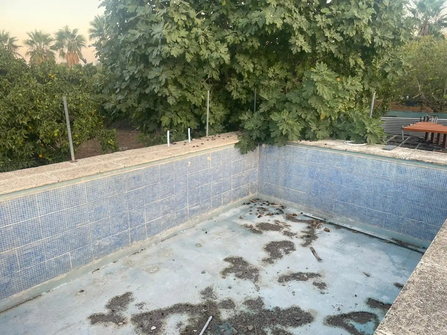 Chalet en venta en Cuesta El Palmar, imagen 59