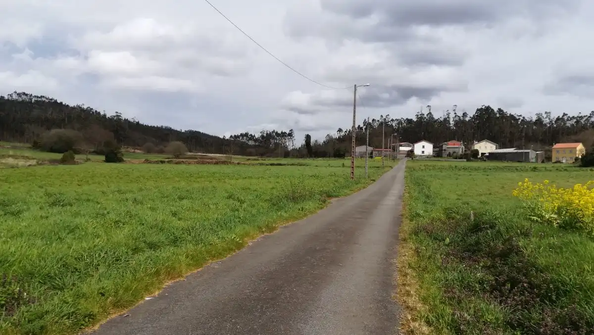 Terreni e lotti in vendita a Área de Ames, imagen 4