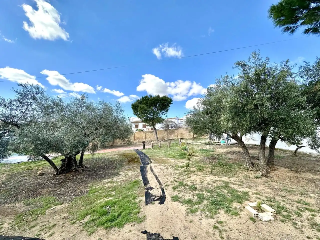 Casa amb jardí en venda a Villanueva de Algaidas, imagen 41