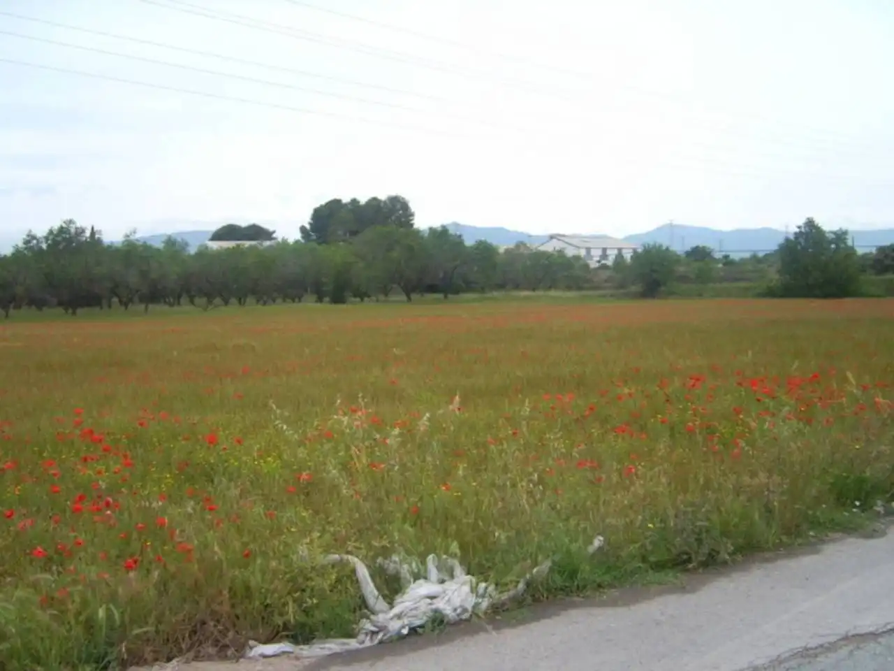 Terreny residencial en venda a Calle CTRA. VALLS-PUIGPELAT, imagen 3