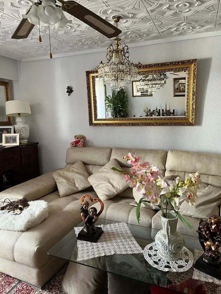 Living room of Flat for sale in Torrevieja  with Terrace, Furnished and Oven