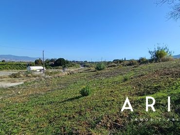 Terreny rústic en venda a El Romeral - Peñón de Zapata