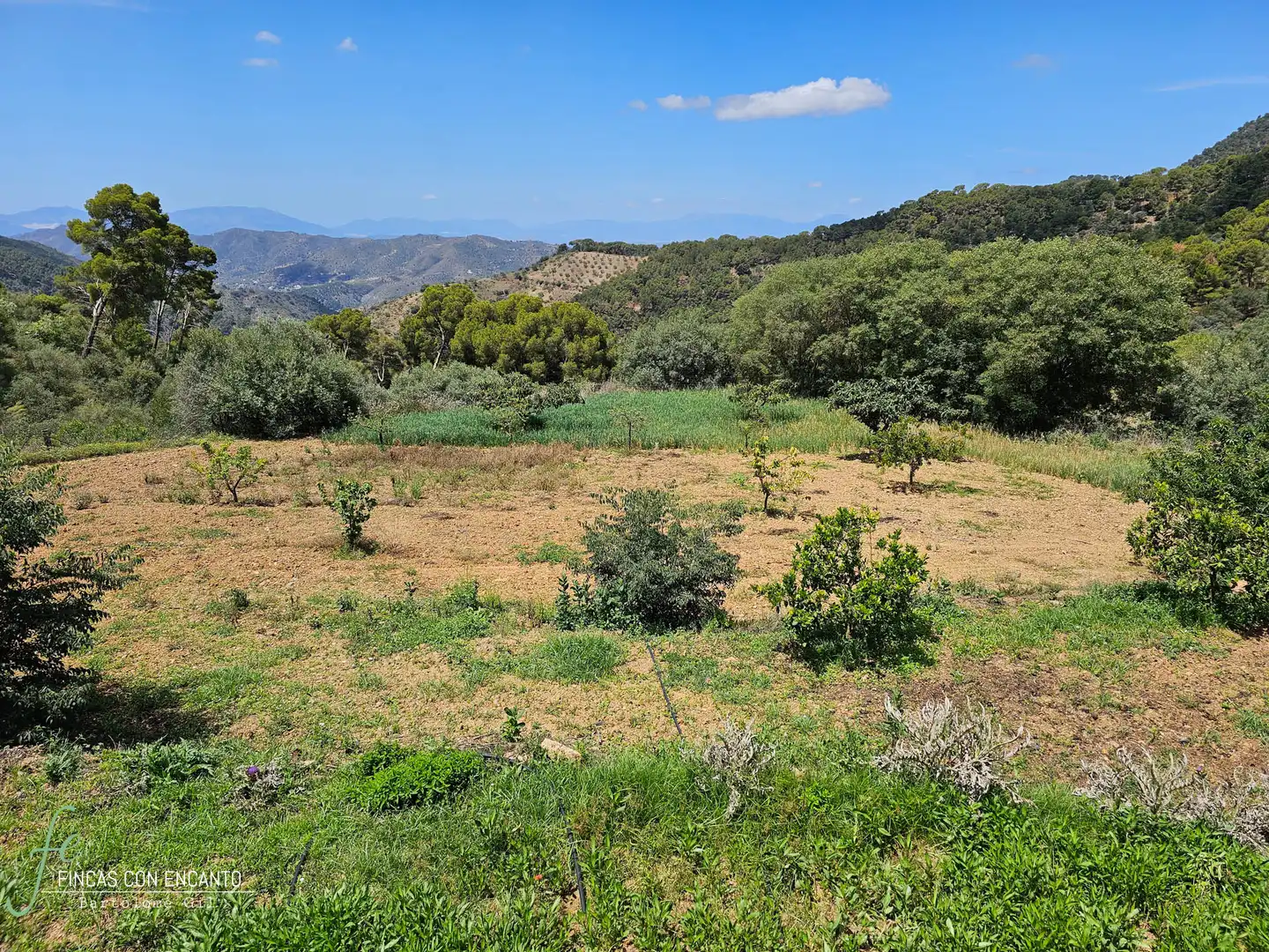 Finca rústica en venda en Málaga amb Calefacció, Jardí privat i Piscina